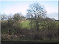 Fields near Glebe Farm