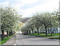 Market Street, Ullapool