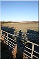 Fields near Croftmore