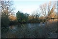 Pond near Little Marcle Court