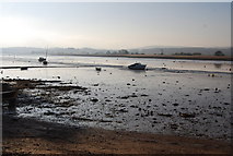 SX9687 : River Exe mud flats, Topsham by N Chadwick