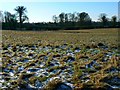 Farmland south of Sapperton