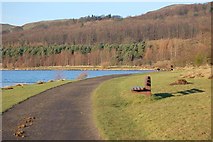 NT1695 : Lochore Meadows Country Park by Paul McIlroy