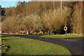 Lochore Meadows Country Park (2)