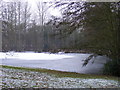 Frozen Fishing Lake