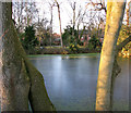 A frozen pond