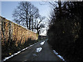 Small lane, Llangrove