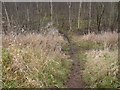 Path leading down to the tracks near the sidings