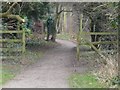 Path by the River Erewash at Toton