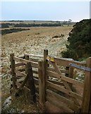 SO3597 : Gate on path near The Bog by Derek Harper