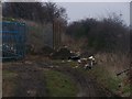 Unused byway on School Lane