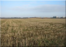 TL4554 : Farmland Stubble by Mr Ignavy