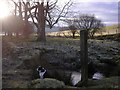 Sinkhole on the Gala Water