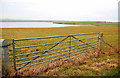 Gated field with stubble