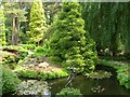 The Water Garden, Compton Acres