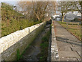 Ogney Brook at River Walk, Llantwit Major