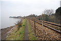 SX9983 : East Devon Way squeezed between the railway line & the River Exe by N Chadwick