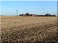 Stubble field