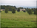 Minsteracres Monastery from Barley Hill Plantation