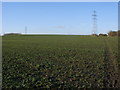 Footpath to Latchford Lane