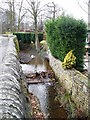 Stream flows through Tivy Dale