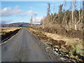 NX5788 : Forest Road to Castlemaddy by Bob Peace