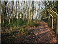 Footpath west of Southwick House