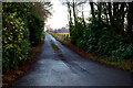 Farm Road leading to Newbarns Farm