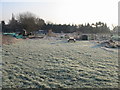 Frosted allotments at Eastry