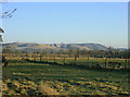 2009 : East from the A3102 near Bromham