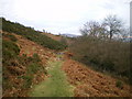 Bridleway from Corndon Farm