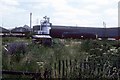 Freight train at Rye House