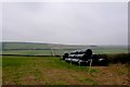 Bales in Coombe Bottom