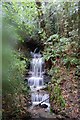 TQ8011 : Waterfall of ground water into The Ghyll, Hastings by kevin connolly
