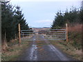 Gate on Forest Track