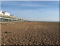 TQ3103 : Brighton Beach by Simon Carey