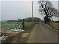 View along the road to Eastry at Tickenhurst