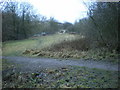 Foxhill Bank Local Nature Reserve