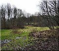 Haughton Dale Nature Reserve