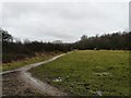 Footpath to Mill Lane