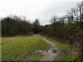 Footpath to East Denton