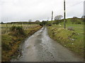 The lane to Hafotty Llysan