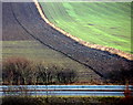 Farmland near Cowdenbeath