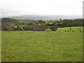 Farmland near Ffrydd-fawr