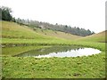 Pond, School House Dale