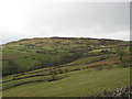 Farmland, looking across to Mwdwl-eithin