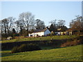 J3486 : Houses near the Knockagh Road by Albert Thompson