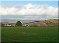 View  across fields and Pant St Bride