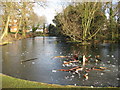 Burnham: Lent Green Pond