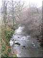 Stream - Ryshworth Bridge